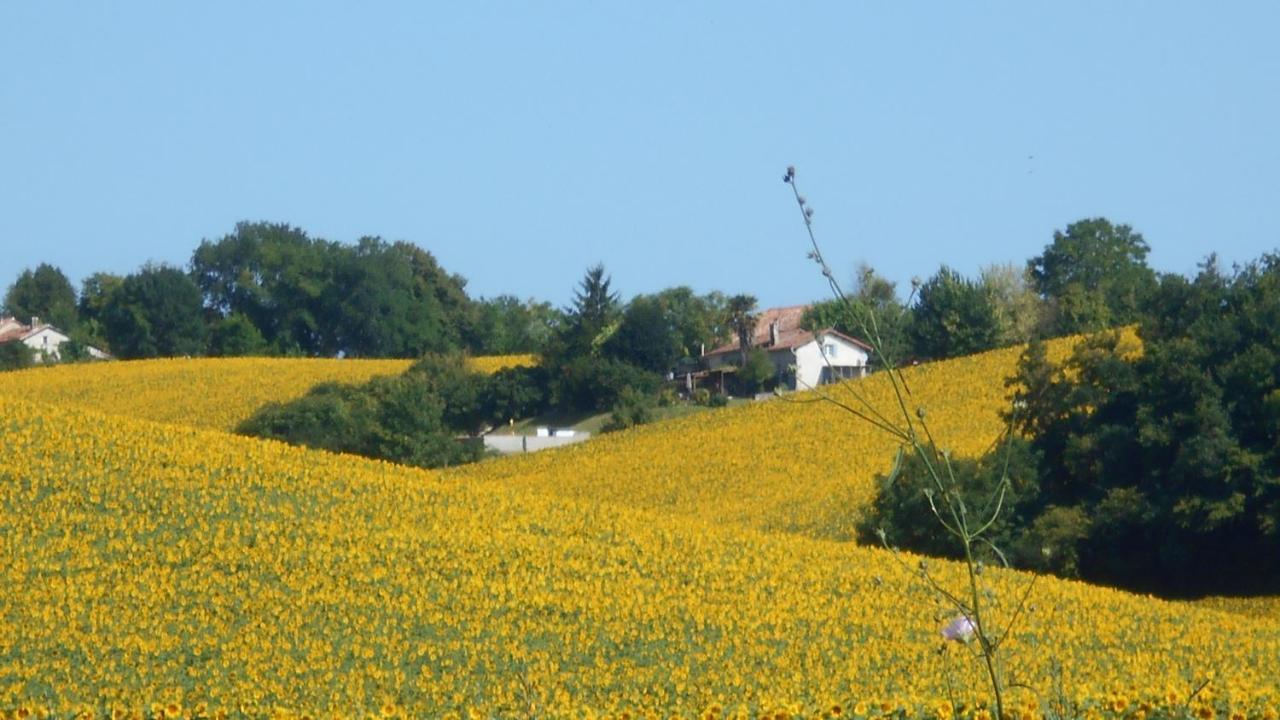 Villa La Tranquillité, Le Repos Nanteuil-Auriac-de-Bourzac Esterno foto